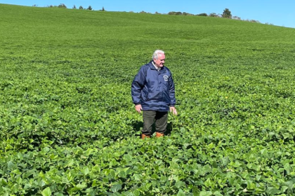 Aldo Vendramin analisa o impacto dos corredores inteligentes na fluidez do tráfego urbano.