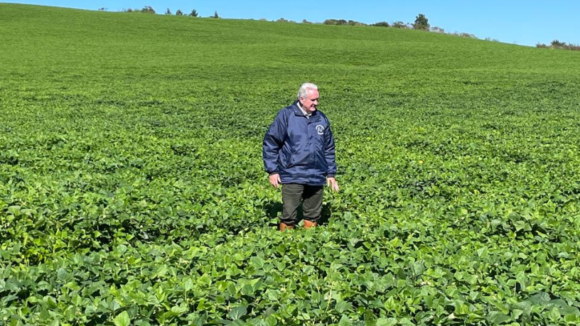 Aldo Vendramin analisa o impacto dos corredores inteligentes na fluidez do tráfego urbano.